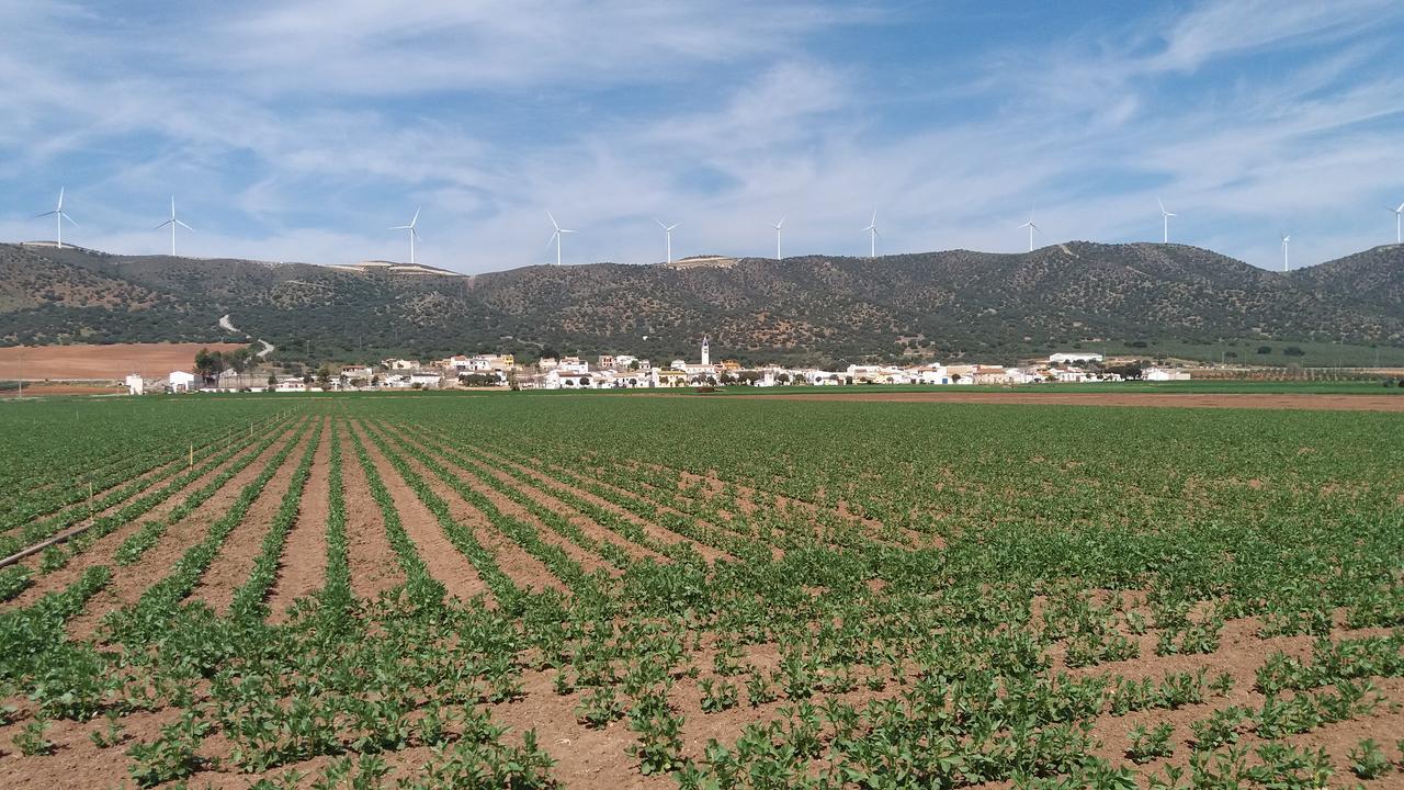Posada Ana Ponce Sierra de Yeguas Buitenkant foto
